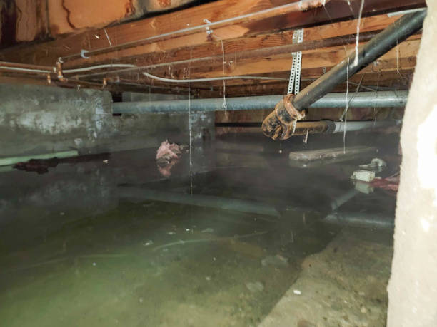 Best Commercial water damage restoration  in Unionville, MO