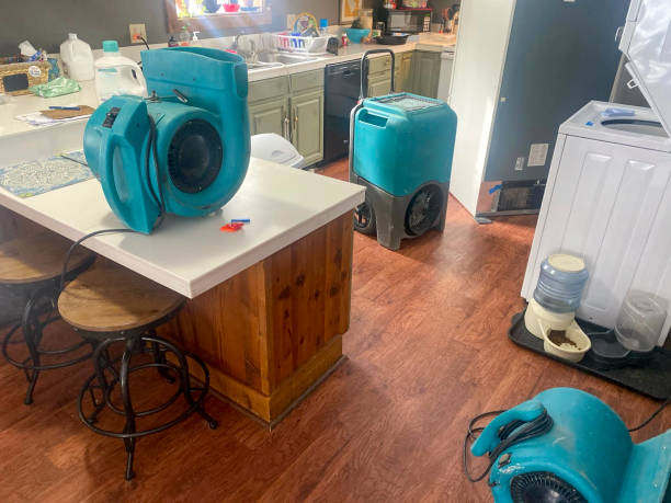 Best Fire Damage Restoration  in Unionville, MO