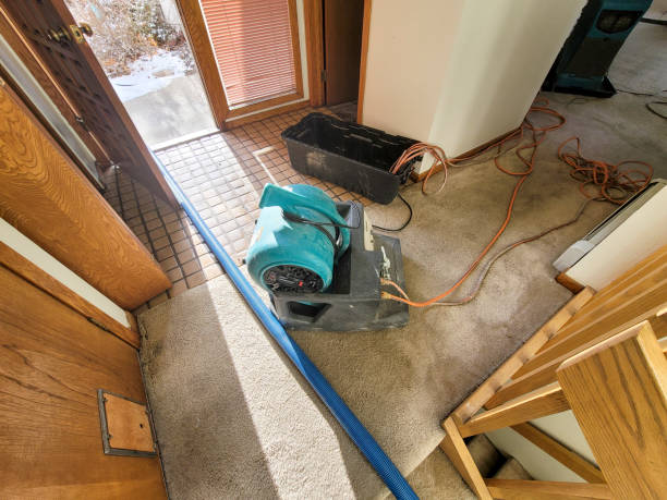 Best Water damage cleanup near me  in Unionville, MO