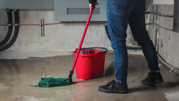 Best Water damage contractors near me  in Unionville, MO