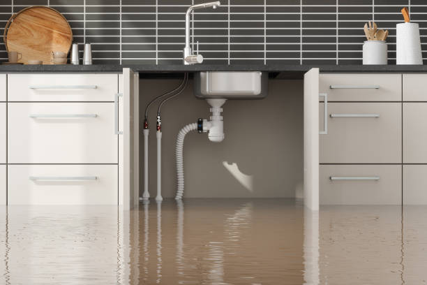 Water damage restoration process in MO