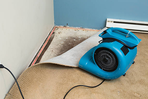 Best Water damage contractors near me  in Unionville, MO